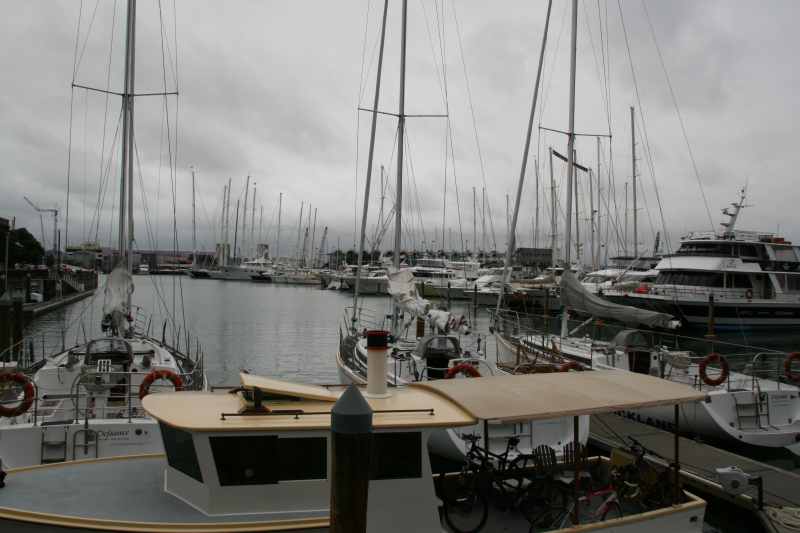 Nieuw-Zeeland 2011 - 0081